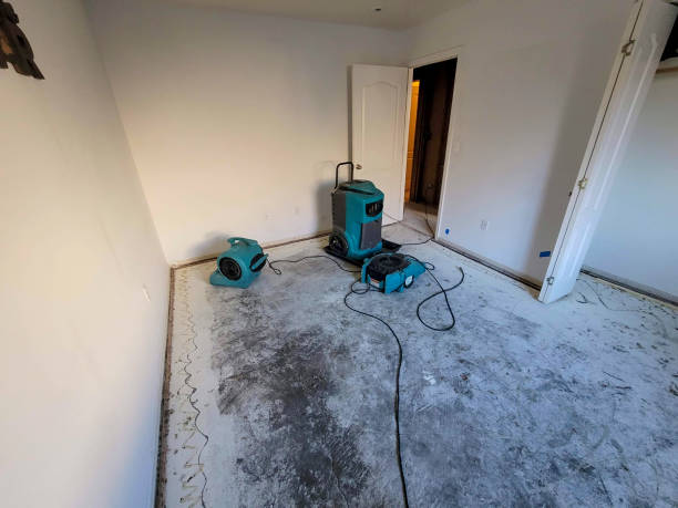 Best Carpet water damage restoration  in Holbrook, NY