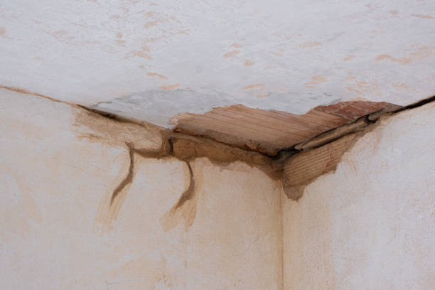 Best Water damage restoration process  in Holbrook, NY