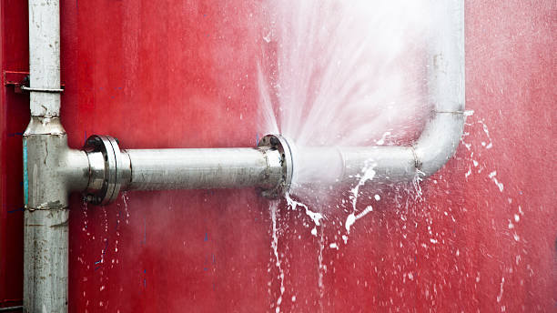 Best Mold removal after water damage  in Holbrook, NY